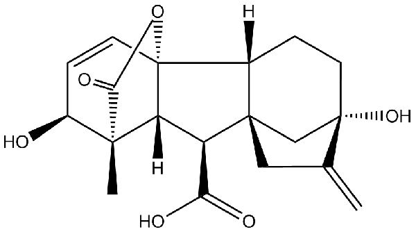 赤霉素GIBBERELLIC ACID，居然有這么神奇？